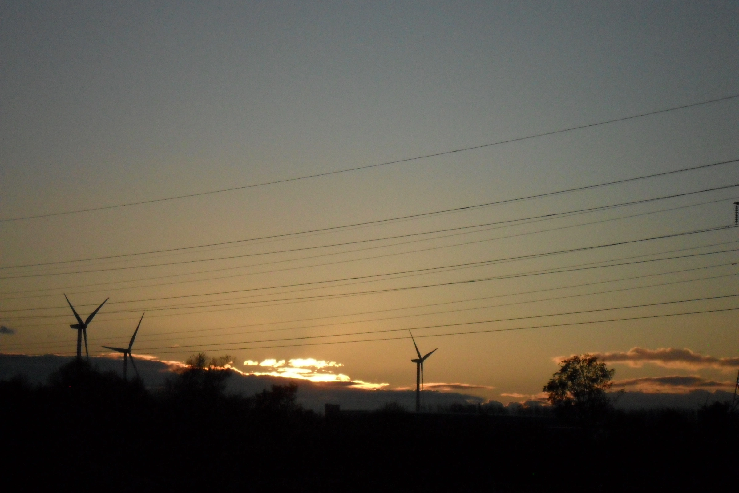 Avonmouth[1].webp
